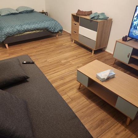 Malzéville Plein Centre 아파트 외부 사진